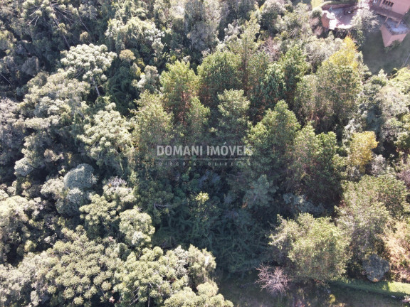 Imagem Terreno à Venda, 4.300 m² em Região Do Alto Da Boa Vista - Campos Do Jordão Imagem Terreno à Venda, 4.300 m² em Região Do Alto Da Boa Vista - Campos Do Jordão