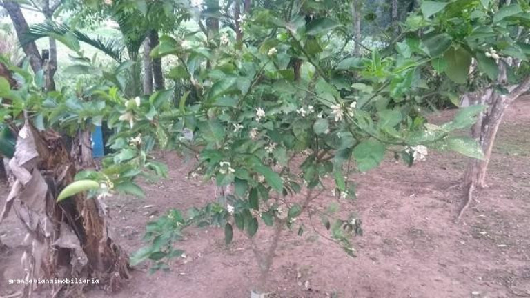 Imagem Chácara à Venda, em Consultar - Ibiúna Imagem Chácara à Venda, em Consultar - Ibiúna