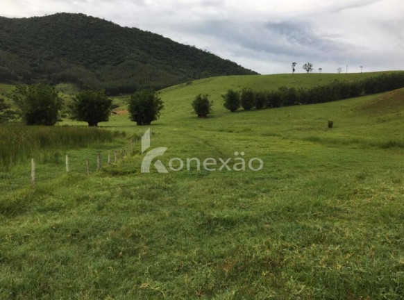 Imagem Fazenda à Venda, 400 m² em Jardim Prado - Santa Branca