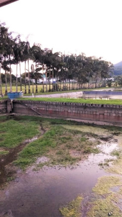Imagem Terreno à Venda, em Urubuquara - Garuva Imagem Terreno à Venda, em Urubuquara - Garuva