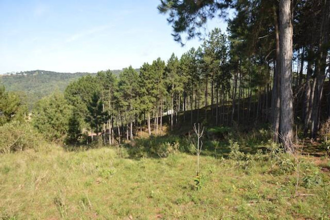 Imagem Terreno à Venda, 75 m² em Vale Encantado - Campos Do Jordão Imagem Terreno à Venda, 75 m² em Vale Encantado - Campos Do Jordão