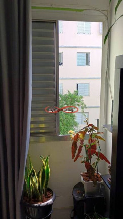 Imagem Apartamento com 2 Quartos à Venda, 44 m² em Conjunto Habitacional Padre Manoel Da Nóbrega - São Paulo Imagem Apartamento com 2 Quartos à Venda, 44 m² em Conjunto Habitacional Padre Manoel Da Nóbrega - São Paulo