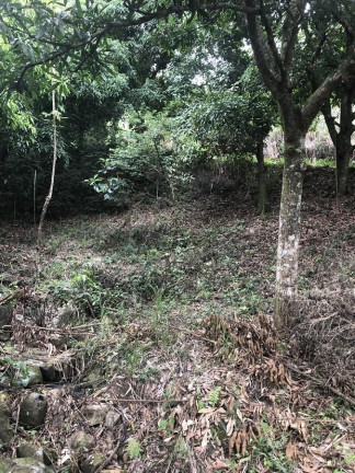 Imagem Terreno à Venda, 1.200 m² em Campo Grande - Rio De Janeiro Imagem Terreno à Venda, 1.200 m² em Campo Grande - Rio De Janeiro
