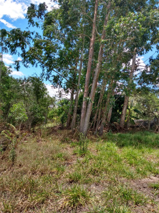 Imagem Imóvel à Venda, 48.000 m² em São Marcos - Bofete