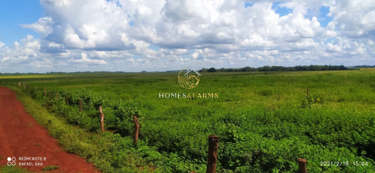 Imagem Imóvel com 3 Quartos à Venda, 423 m² em Zona Rural - Turvelândia Imagem Imóvel com 3 Quartos à Venda, 423 m² em Zona Rural - Turvelândia