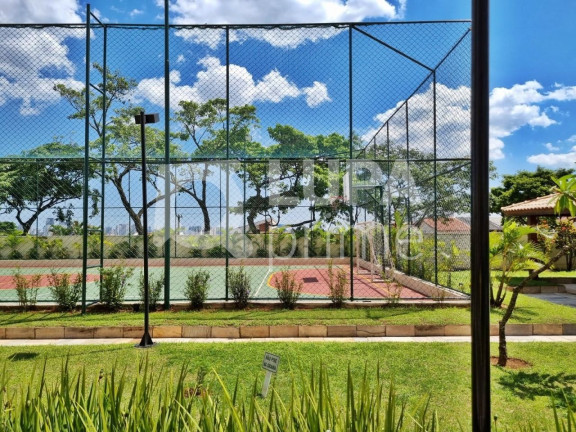 Imagem Apartamento com 3 Quartos à Venda, 70 m² em Vila Maria - São Paulo Imagem Apartamento com 3 Quartos à Venda, 70 m² em Vila Maria - São Paulo