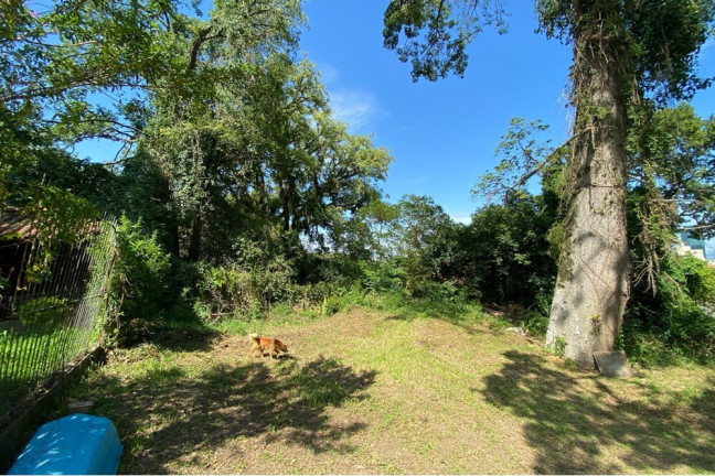 Imagem Terreno à Venda, 1.400 m² em Cristal - Porto Alegre Imagem Terreno à Venda, 1.400 m² em Cristal - Porto Alegre