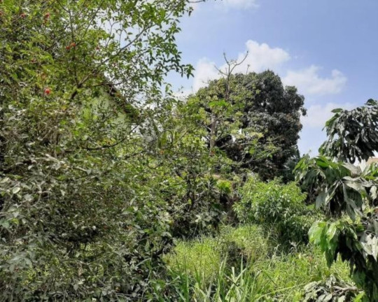 Imagem Terreno para Alugar,  em Piratininga - Niterói