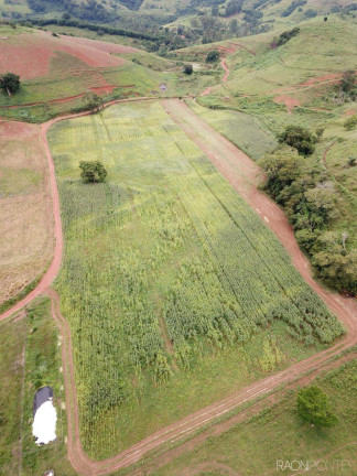 Imagem Fazenda à Venda, 15.500.000 m² em Centro - Palma