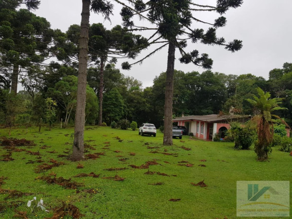 Imagem Chácara com 4 Quartos à Venda, 250 m² em Contenda - São José Dos Pinhais Imagem Chácara com 4 Quartos à Venda, 250 m² em Contenda - São José Dos Pinhais