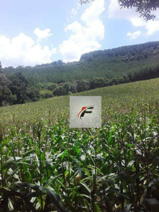 Imagem Imóvel à Venda, 117.000 m² em água Amarela - Antônio Olinto Imagem Imóvel à Venda, 117.000 m² em água Amarela - Antônio Olinto