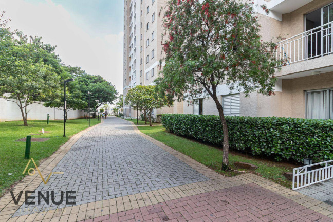 Imagem Apartamento com 2 Quartos à Venda, 52 m² em Tatuapé - São Paulo Imagem Apartamento com 2 Quartos à Venda, 52 m² em Tatuapé - São Paulo