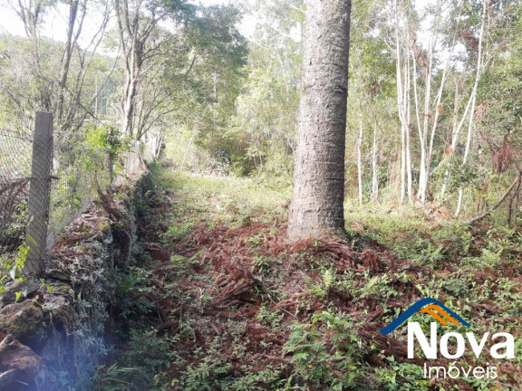 Imagem Imóvel à Venda, 110.000 m² em Linha Brasil - Nova Petrópolis Imagem Imóvel à Venda, 110.000 m² em Linha Brasil - Nova Petrópolis