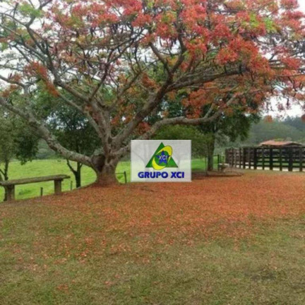 Fazenda à Venda, 363.000 m² em Vila Arruda - Itapetininga