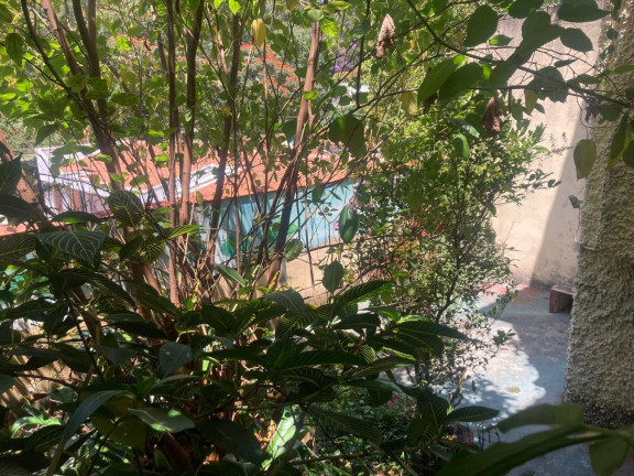 Imagem Casa com 3 Quartos à Venda, 300 m² em Cambuci - São Paulo Imagem Casa com 3 Quartos à Venda, 300 m² em Cambuci - São Paulo