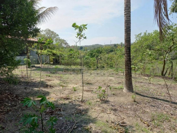 Imagem Imóvel com 5 Quartos à Venda, 6.000 m² em Bonanza - Santa Luzia