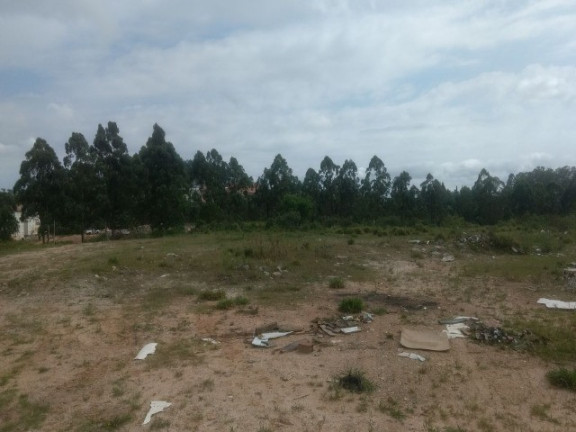 Imagem Terreno à Venda, 55.000 m² em Colônia (zona Leste) - São Paulo Imagem Terreno à Venda, 55.000 m² em Colônia (zona Leste) - São Paulo