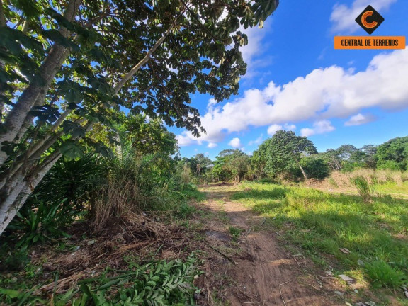 Imagem Terreno à Venda, 36.000 m² em Cajazeiras - Salvador Imagem Terreno à Venda, 36.000 m² em Cajazeiras - Salvador