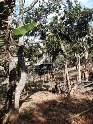 Imagem Terreno à Venda, 4.357 m² em Socorro Imagem Terreno à Venda, 4.357 m² em Socorro
