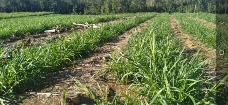 Imagem Chácara à Venda, 19 m² em Rural - Capão Bonito Imagem Chácara à Venda, 19 m² em Rural - Capão Bonito