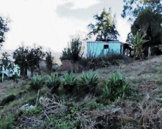 Imagem Imóvel à Venda, 3.000 m² em Morro Das Batatas - Feliz