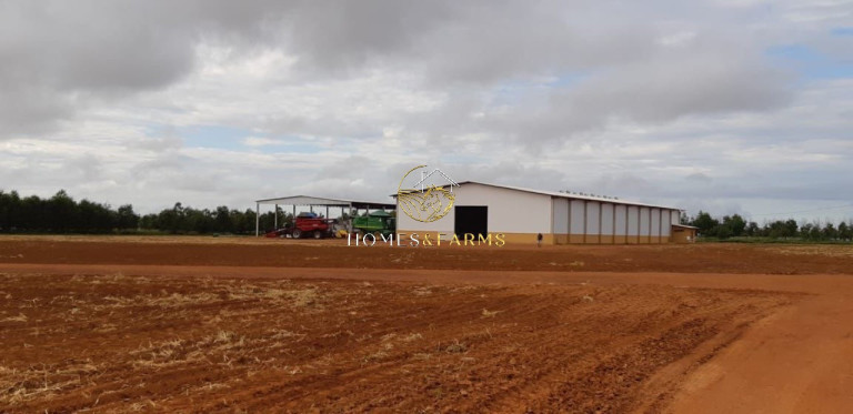 Imagem Imóvel com 3 Quartos à Venda, 17.897 m² em Zona Rural - água Boa Imagem Imóvel com 3 Quartos à Venda, 17.897 m² em Zona Rural - água Boa