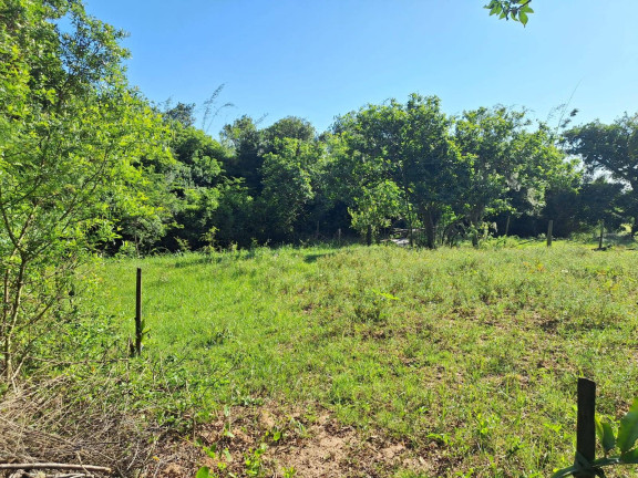 Imagem Chácara à Venda, 1.280 m² em Lombas - Viamão