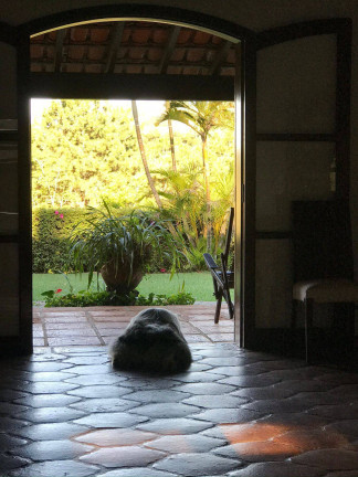 Imagem Casa com 4 Quartos à Venda, 350 m² em Campinas Imagem Casa com 4 Quartos à Venda, 350 m² em Campinas