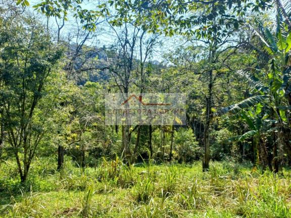 Imagem Terreno à Venda, 24.000 m² em Palmeiras - Juquitiba Imagem Terreno à Venda, 24.000 m² em Palmeiras - Juquitiba