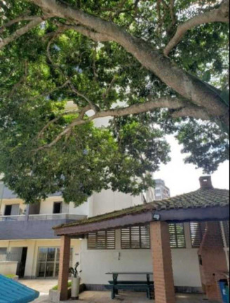 Imagem Apartamento com 4 Quartos à Venda, 183 m² em Centro - São José Dos Campos Imagem Apartamento com 4 Quartos à Venda, 183 m² em Centro - São José Dos Campos