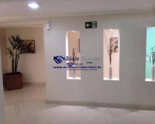 Imagem Apartamento com 3 Quartos à Venda, 70 m² em Paraíso Do Morumbi - São Paulo Imagem Apartamento com 3 Quartos à Venda, 70 m² em Paraíso Do Morumbi - São Paulo