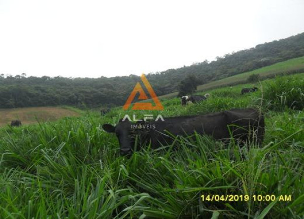 Imagem Fazenda à Venda, 214 m²