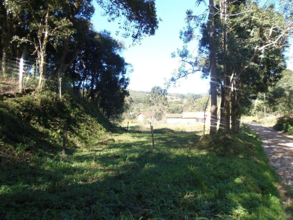 Imagem Terreno à Venda, 515 m² em Bateias - Campo Largo Imagem Terreno à Venda, 515 m² em Bateias - Campo Largo