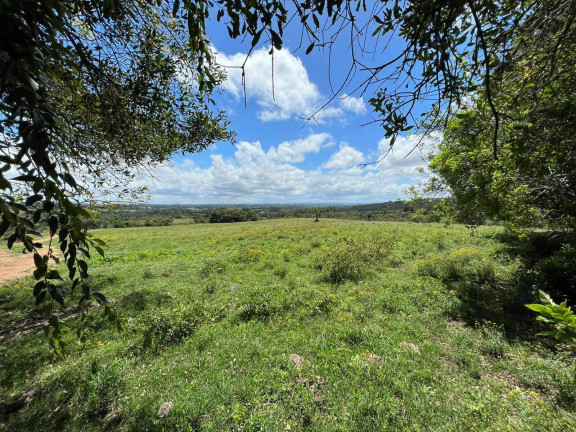 Imagem Chácara à Venda, 5 m² em Fiuza - Viamão Imagem Chácara à Venda, 5 m² em Fiuza - Viamão