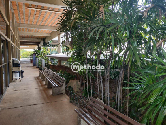 Imagem Sala Comercial para Alugar, 200 m² em Parque Nova Campinas - Campinas Imagem Sala Comercial para Alugar, 200 m² em Parque Nova Campinas - Campinas