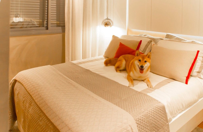 Imagem Imóvel com 3 Quartos à Venda, 65 m² em Vila Mascote - São Paulo Imagem Imóvel com 3 Quartos à Venda, 65 m² em Vila Mascote - São Paulo