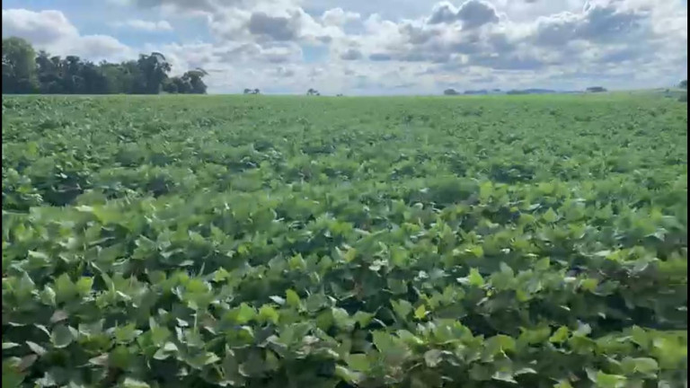 Imagem Chácara à Venda, 38 m² em Rural - Coronel Macedo