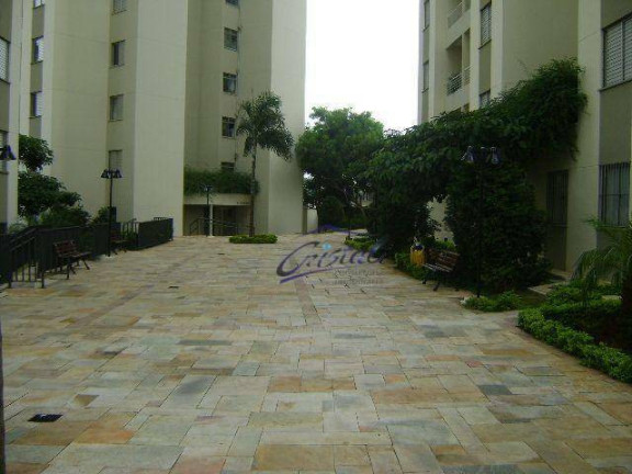 Imagem Apartamento com 2 Quartos à Venda, 50 m² em Butantã - São Paulo
