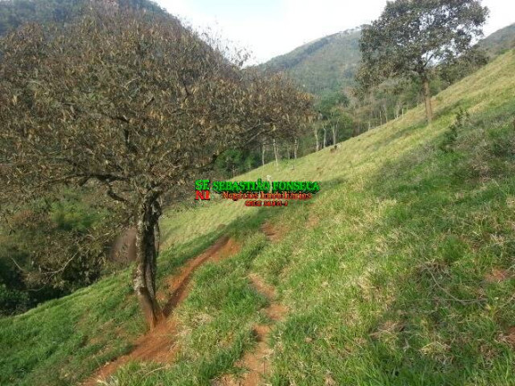 Imagem Chácara à Venda, 20.000 m² em São Francisco Xavier - São José Dos Campos Imagem Chácara à Venda, 20.000 m² em São Francisco Xavier - São José Dos Campos
