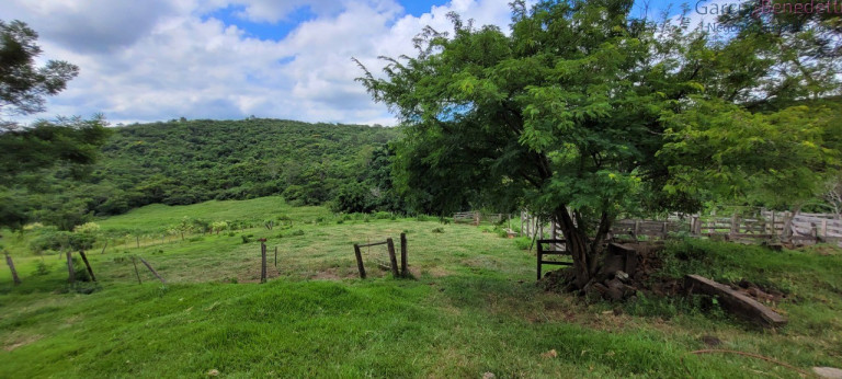 Imagem Imóvel à Venda, 290.400 m² em Amizade - Jandaia Do Sul Imagem Imóvel à Venda, 290.400 m² em Amizade - Jandaia Do Sul