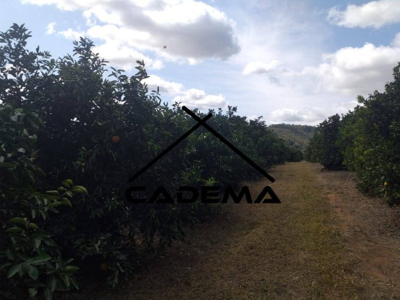 Imagem Chácara com 4 Quartos à Venda, 92 m² em Area Rural - São Gonçalo Do Sapucaí