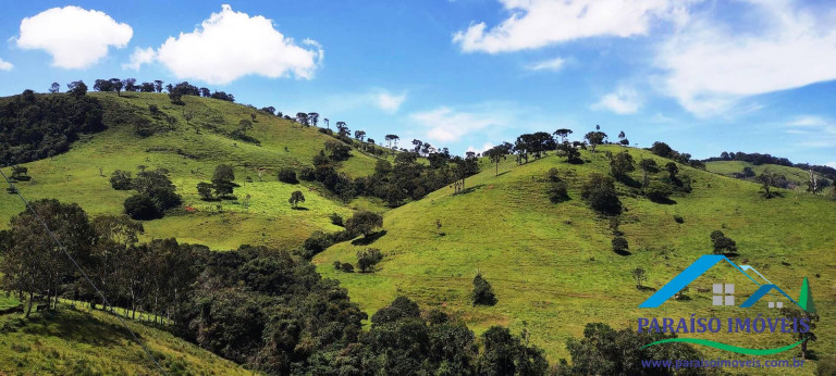 Imagem Chácara à Venda, 24 m² em Centro - Paraisópolis Imagem Chácara à Venda, 24 m² em Centro - Paraisópolis
