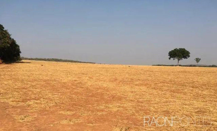Imagem Fazenda à Venda, 5.620.000 m² em Zona Rural - Jaraguá Imagem Fazenda à Venda, 5.620.000 m² em Zona Rural - Jaraguá