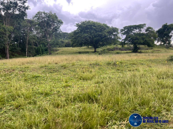 Imagem Fazenda à Venda, 116 m² em Zona Rural - Rio Verde Imagem Fazenda à Venda, 116 m² em Zona Rural - Rio Verde