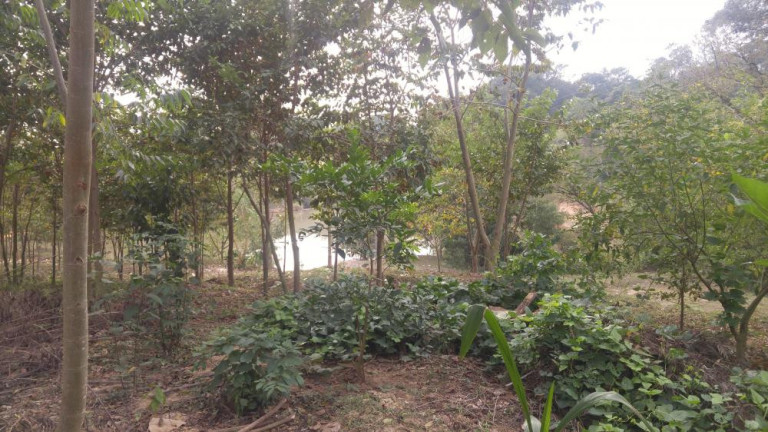 Imagem Imóvel à Venda, 300 m² em Tanquinho - Tatuí Imagem Imóvel à Venda, 300 m² em Tanquinho - Tatuí