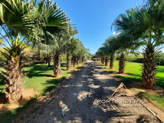 Imagem Terreno à Venda, 4.000 m² em Revés Do Belém - Bom Jesus Do Galho Imagem Terreno à Venda, 4.000 m² em Revés Do Belém - Bom Jesus Do Galho