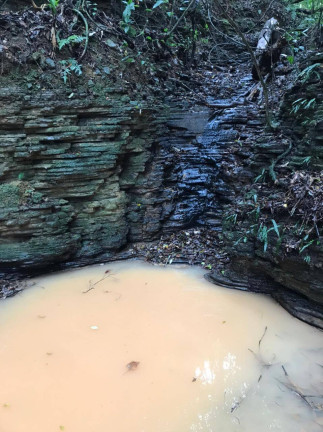 Imagem Terreno à Venda,  em Pilar Do Sul