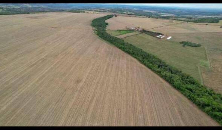 Fazenda à Venda, 600 m² em Piracanjuba
