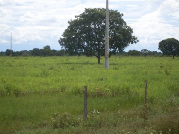 Imagem Imóvel à Venda,  em Região Do Araguaia Xingu - São Félix Do Araguaia