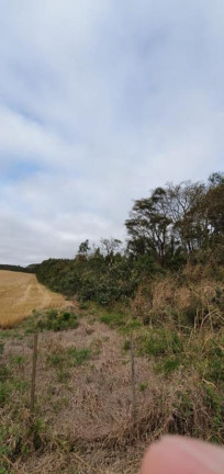 Imagem Chácara à Venda, 20.000 m² em Ponte Alta - Avaré Imagem Chácara à Venda, 20.000 m² em Ponte Alta - Avaré